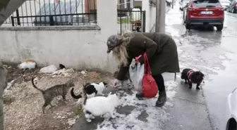 Bere ve çanta örerek sokak hayvanlarını besliyor