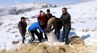 Erzincan'da yılkı atları ve yaban hayvanları için doğaya yem bırakıldı