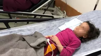 Kızıltepe'de aynı aileden 3 kişi yedikleri peynirden zehirlendi