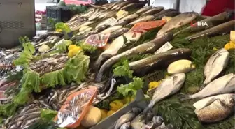 Sezona 40 lirayla başlayan çinekop 75 lirayı gördü