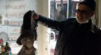 Yaralı atmacayı çiftçi kurtardı