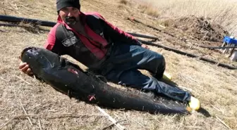 Burdur'un Gölhisar Gölü'nde ağa, rekor büyüklükte yayın balığı takıldı