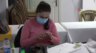 Pamukkale'de ücretsiz kurslar devam ediyor