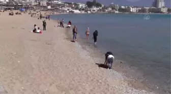 Didim'de güneşli hava sahili hareketlendirdi