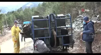 Tonluk boğalarla bebekler gibi ilgileniyorlar