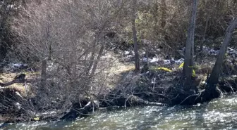 Yeşilırmak'ta bulunan ceset 2 aydır kayıp Hidayet Temizel'e ait çıktı