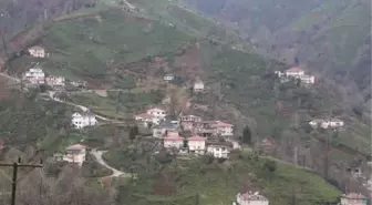 Karadeniz'de kısıtlamada, uyarılara rağmen yine köylere çıkıyorlar