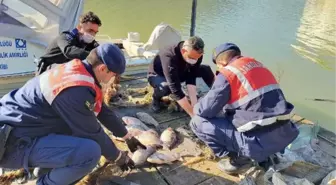 Tahtalı Barajı'nda balık avlayan 2 kişiye, 9 bin lira ceza