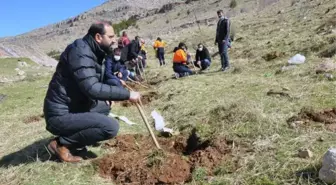 Derik'te, şehit Kaymakam Safitürk anısına 3 bin tohum