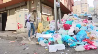 Maltepe'de sokakları çöp kokusu sardı