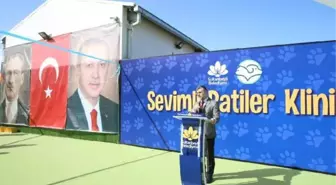 Sultanbeyli'de Sevimli Patiler Kliniği açıldı