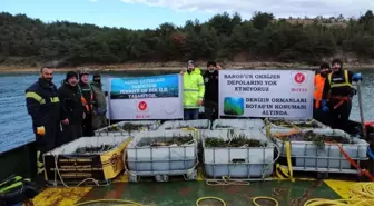 BOTAŞ'tan Saros Körfezi'nde gerçekleştirdiği proje alanına 100 bin ağaç