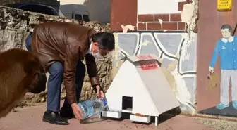 Başkan İnal, sokak hayvanlarını kendi elleri ile besledi