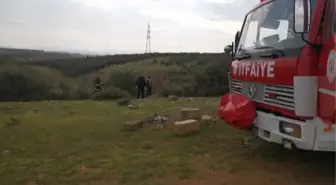 Son dakika! Bataklıkta mahsur kalan 3 kaz itfaiye ekiplerince kurtarıldı