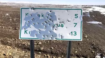 Kars'ta, tabelalar magandaların hedef tahtası oldu