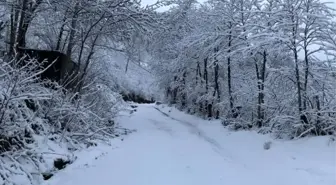 Ordu'da baharın ilk gününde kar sürprizi