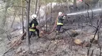 Fethiye'de çıkan orman yangını söndürüldü