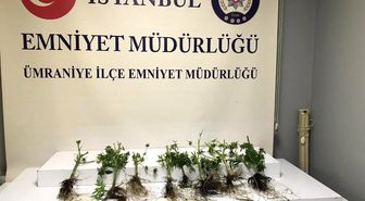 Ümraniye'de uyuşturucu imal edilen eve baskın