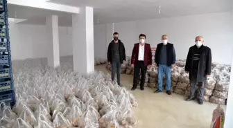 Ailelere patates ve soğan desteği
