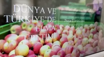 Elma ihracatını artırmak için rapor hazırlanacak