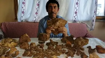 Tarlasında bulduğu taşın 'göktaşı' olduğunu öğrenince hemen satışa çıkardı