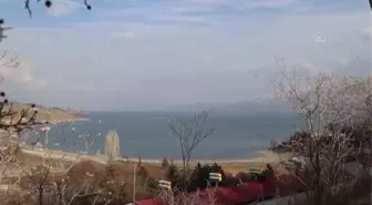 TOKİ inşaatlarının atık malzemeleri sokak hayvanları için sıcak yuvaya dönüşüyor