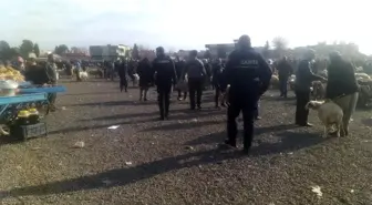 Viranşehir'de zabıta denetimi