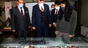 Yaban hayatı sergisinde canlı hayvanlar da yer aldı