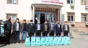 Çiftçilere yem bitkisi tohumu dağıtıldı