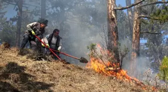 Son dakika haberi | Domaniç'te orman yangını