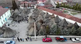 Samsun'un Vezirköprü ilçesinde büyük umutlarla ekilen kenevirler üreticinin elinde kaldı