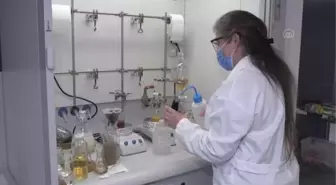 Kadın bilim insanlarının çalışmalarını öne çıkarmak için onların yayınlarından kitap hazırladı