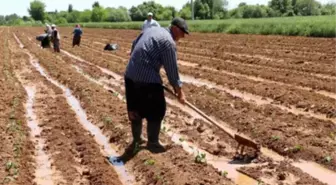 Mazot gübre desteği 2021 ne zaman verilecek? TC numarasına göre mazot gübre desteği ne zaman ödenecek?