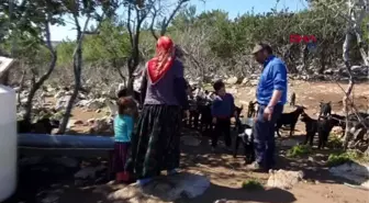 MERSİN Sarıkeçili Yörük kadınları, 8 Mart'tan habersiz yaşamlarını sürdürüyor