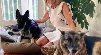 ABD Başkanı Biden'ın köpeği 'Major' Beyaz Saray'ı birbirine kattı