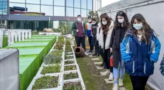 Son dakika haberi... Geleceğin şefleri kentsel tarımı öğreniyor