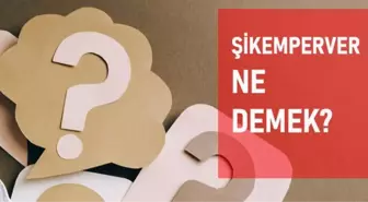 Şikemperver ne demek? Şikemperver anlamı ne?