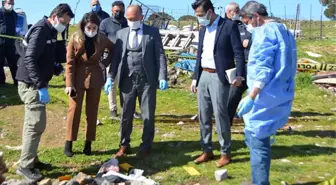 Ayvalık'ta poşet içinde bir bebeğin cansız bedeni bulundu