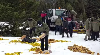 Karlı kış gününde yaban hayvanları böyle yemlendi