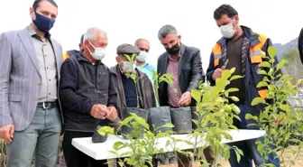 Kozan Belediyesi kamkat üretiyor