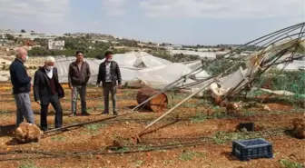 Mersin'de fırtına seraları yıktı, evlerin çatılarını uçurdu