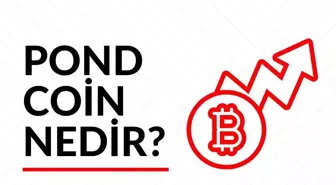 POND Coin nedir? Güncel Marlin (POND) Coin yorum ve grafiği