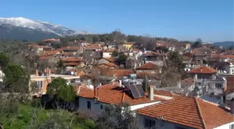 Bu zamana kadar tek vaka dahi görülmedi! İşte kırmızı şehrin mavi köyü Hacıarslanlar'ın başarı sırrı