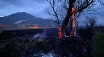 Burdur'da 50 dönüm sazlık yandı