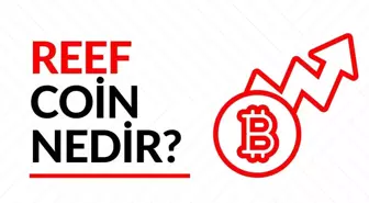 Reef Coin nedir, Paribu'da ne zaman çıktı? Reef Coin yorum ve grafiği