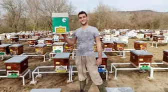 19 yaşındaki Bursalı genç, arı sütü üretiminde Çin'e rakip oldu! Kilosunu 10 bin TL'den satıyor