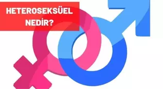 Heteroseksüel nedir?
