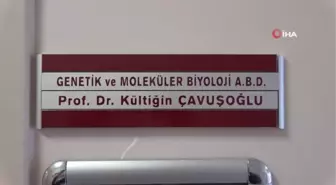 Karadeniz bölgesindeki korona virüs vaka sayılarındaki artış devam ediyor