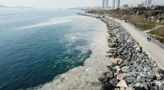 Pendik ve Kartal sahilindeki kirliliğin sebebi belli oldu: Deniz salyası