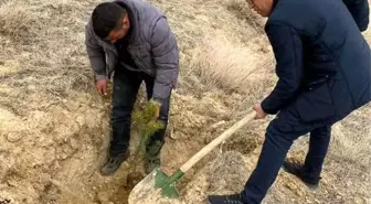 Saraycık Köyü'nde ağaç dikim etkinliği